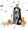 Skeleton Halloween Decorations, 3FT Halloween Posable Skeleton with Dog & Cat Skeleton - 5 in 1 Creepy Halloween Plastic Movable Joint Skeleton for Halloween Party Yard Decor (36inch)